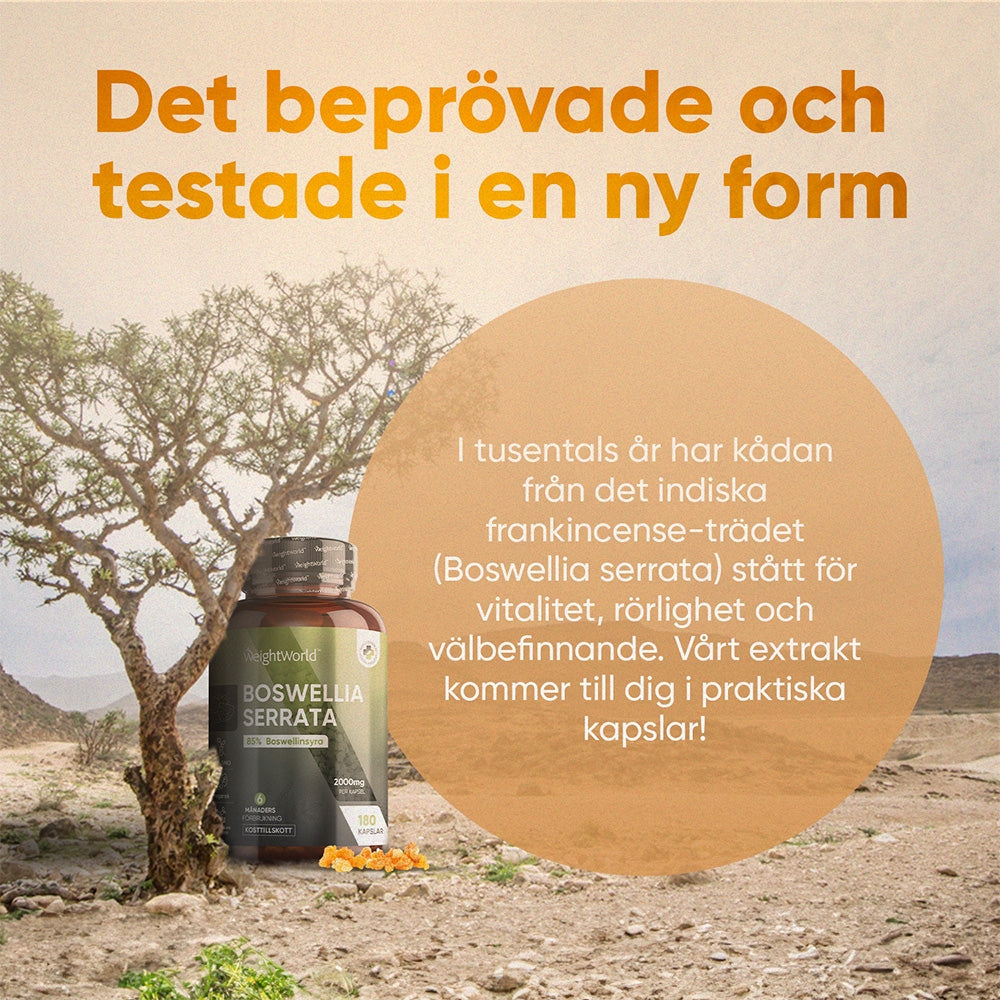 boswellia-serreta-se-3