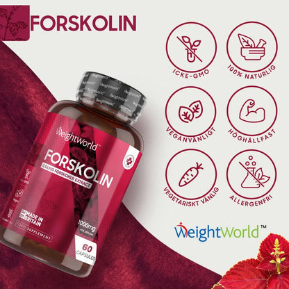 Utmärkta forskolin tillskott för fettförbränning och viktkontroll