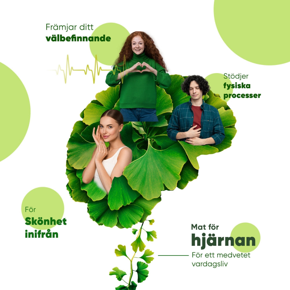 ginkgo-biloba-komplex-se-3