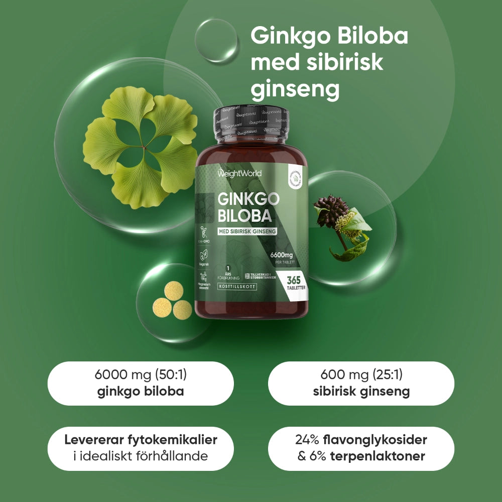 Ginkgo Biloba-kosttillskott i liten flaska med grönt etikettparti och kapselbild