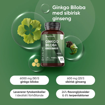 Ginkgo Biloba-kosttillskott i liten flaska med grönt etikettparti och kapselbild