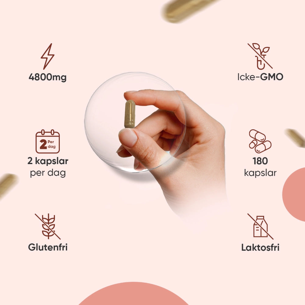 guarana-capsule-se-4