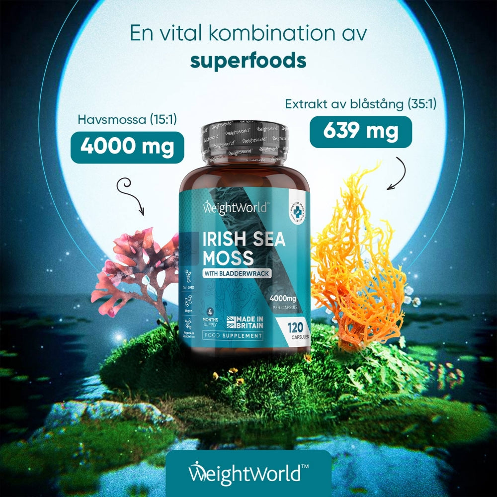En burk med WeightWorlds Irish Sea Moss 4000 mg i havsmiljö, tillsammans med ingredienserna havsmossa och blåtång
