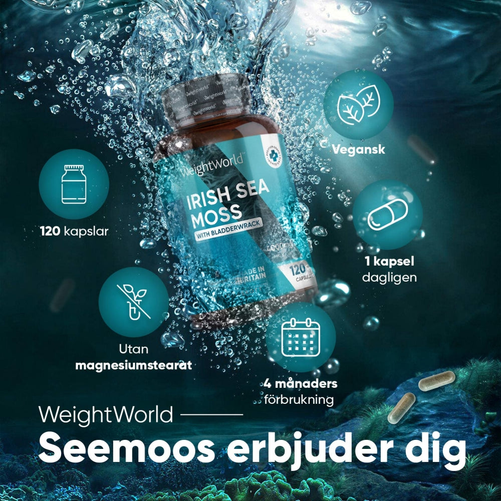 En burk med WeightWorlds Irish Sea Moss 4000 mg som dyker ner under vattenytan, och beskrivning av produkten