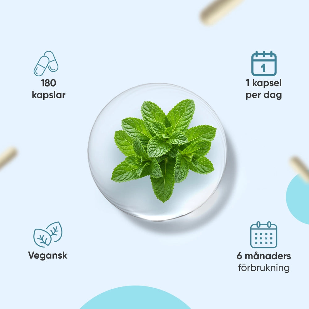 L-Theanine med Vitamin B6