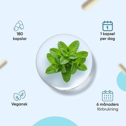 L-Theanine med Vitamin B6