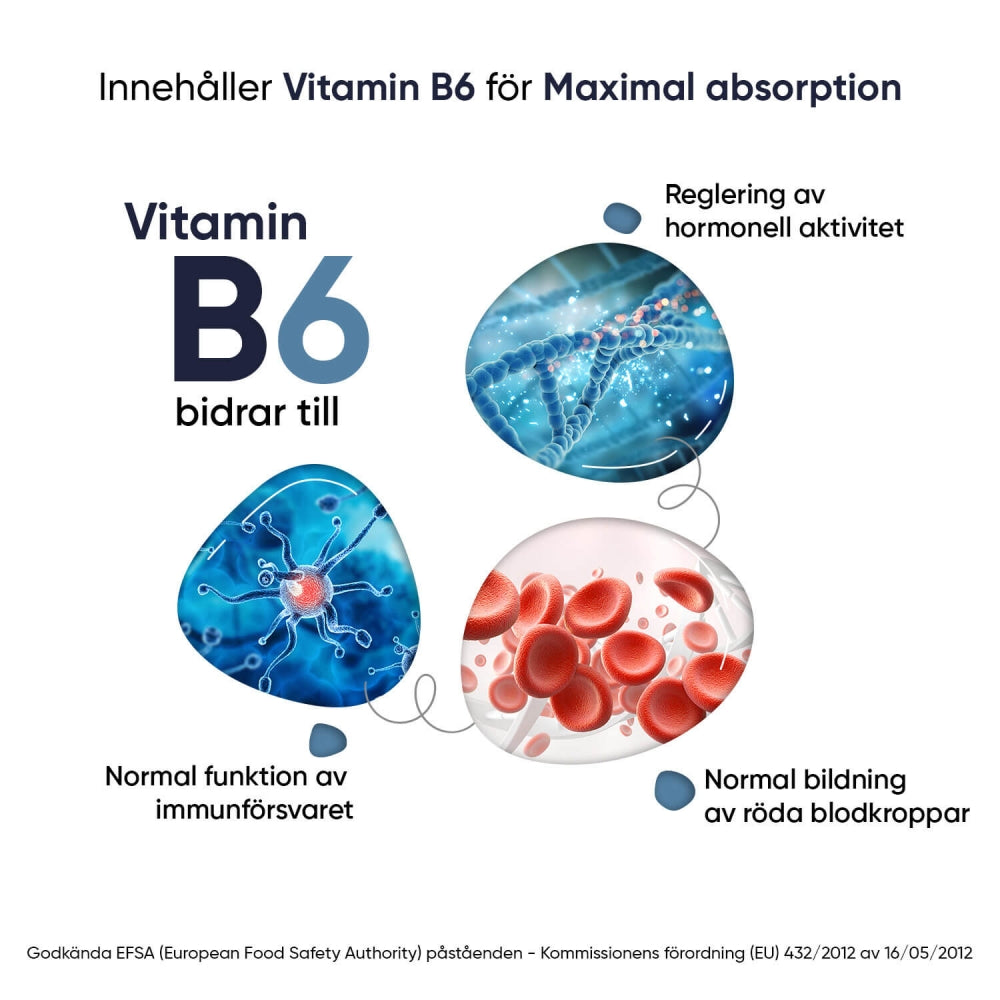 Bilden visar olika bilder på vad Vitamin B6 kan hjälpa till med då Marin Magnesium Kapslar från WeightWorld innehåller Vitamin B6
