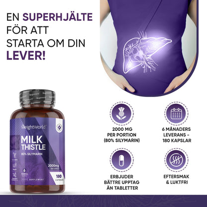 milk-thistle-uk-se-2