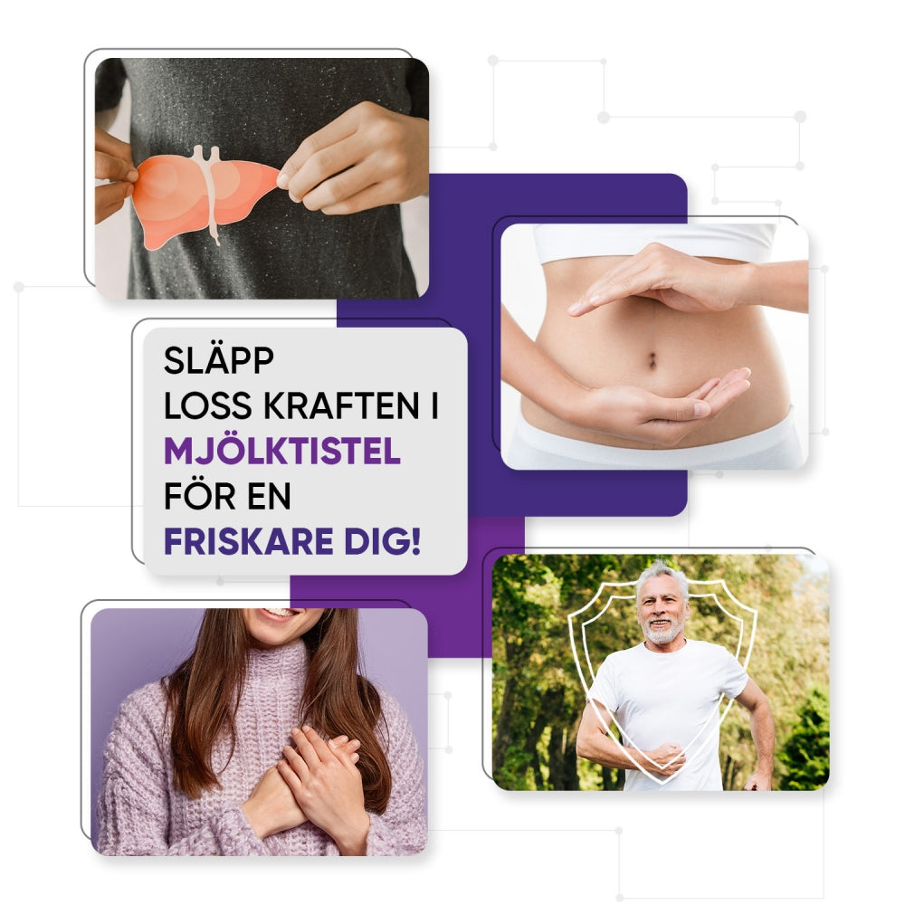 milk-thistle-uk-se-3