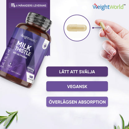 milk-thistle-uk-se-4