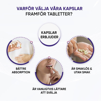 milk-thistle-uk-se-6