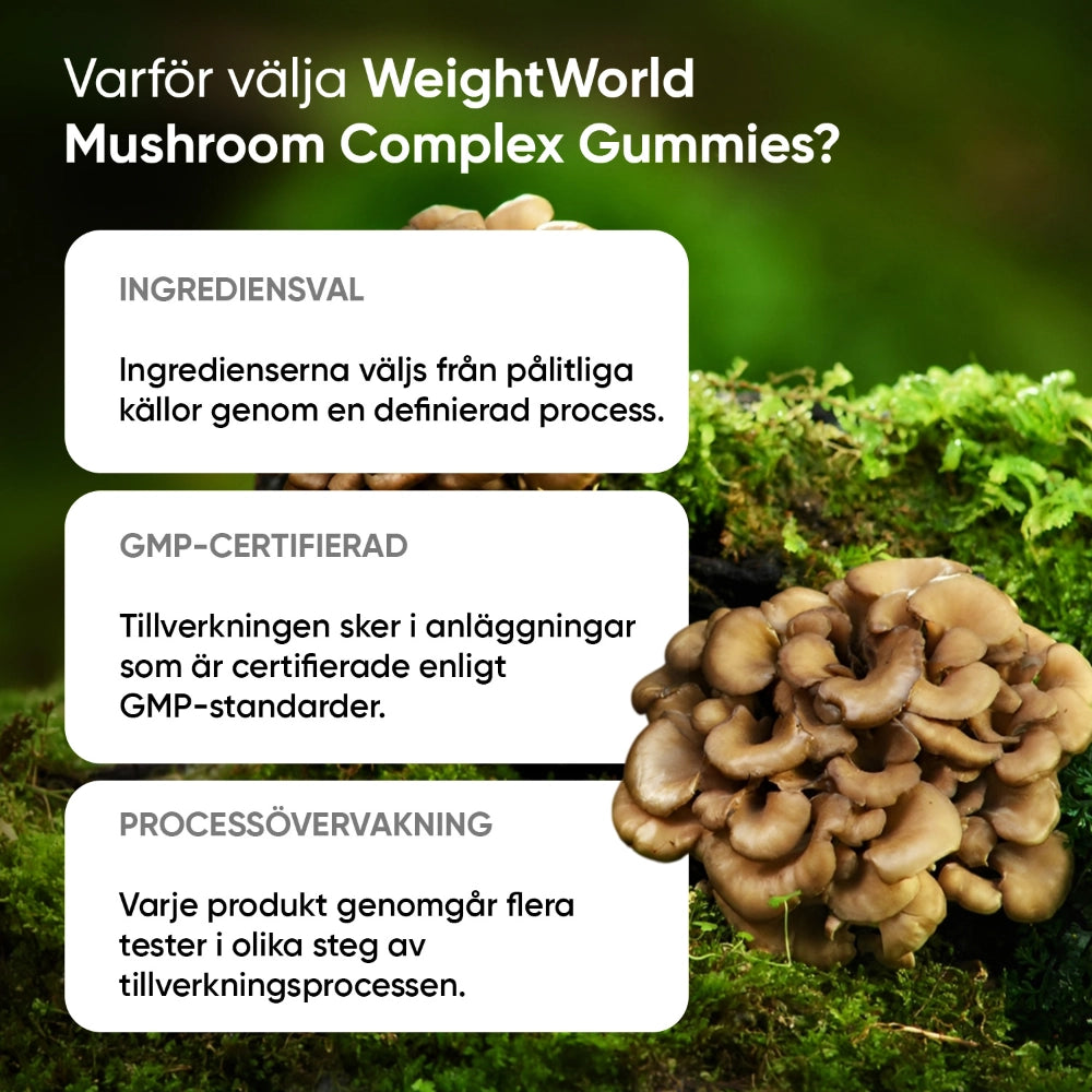 mushroom-complex-gummies-se-7