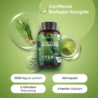 organic-barley-grass-500mg-se-2
