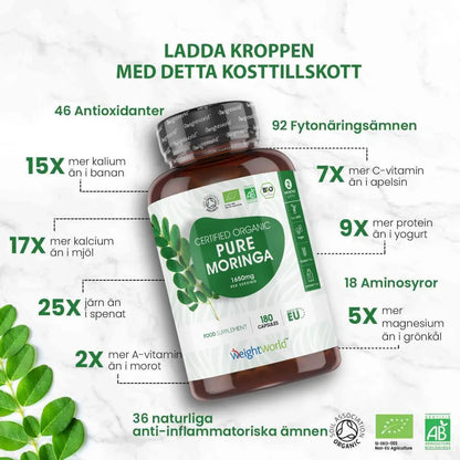 Superfood i väldoserade moringa kapslar för hälsa och välmående