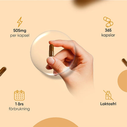 organic-turmeric-365-se-3