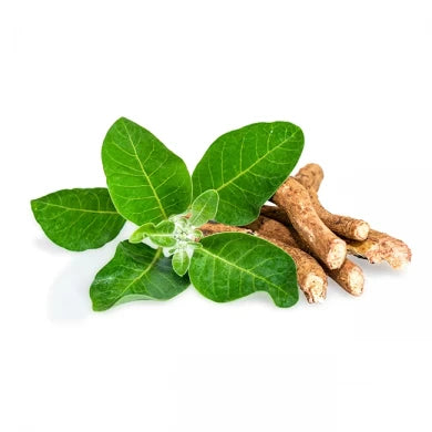 <p><strong>Forskolin</strong>:  Vad är ashwagandha bra för?  </p>