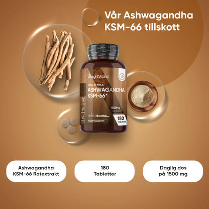 Ashwagandha KSM-66 från WeightWorld, burk med tabletter och pulver