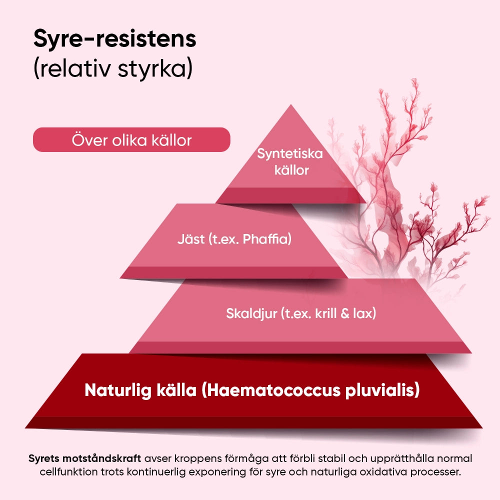 Ingrediensgraf för astaxantin: naturlig källa (Haematococcus pluvialis)