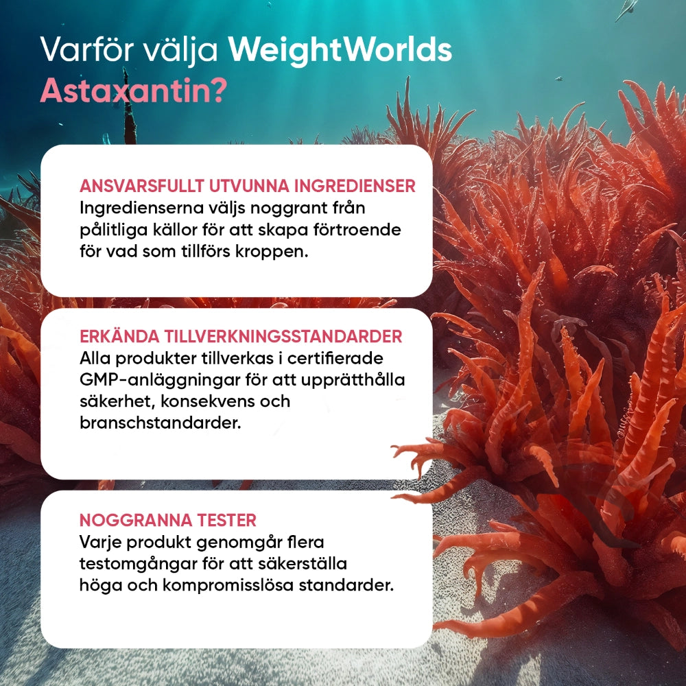 Astaxantin-tillskott: utvalda ingredienser och testade tillverkningsstandarder