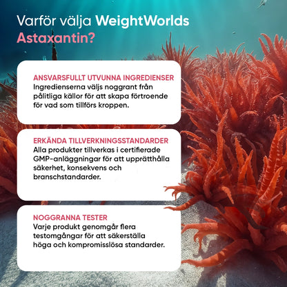 Astaxantin-tillskott: utvalda ingredienser och testade tillverkningsstandarder