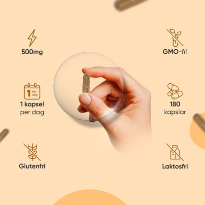 weightworld-se-curcumin-with-ginger-and-black-pepper-500mg-180capsules-bottle-04