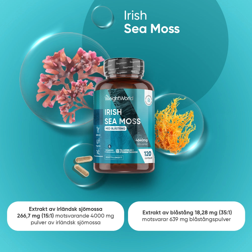 weightworld-se-irish-sea-moss-caps-01