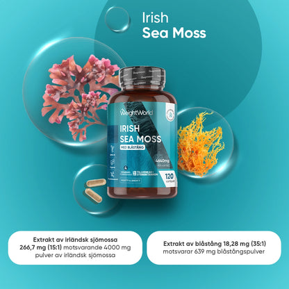 weightworld-se-irish-sea-moss-caps-01