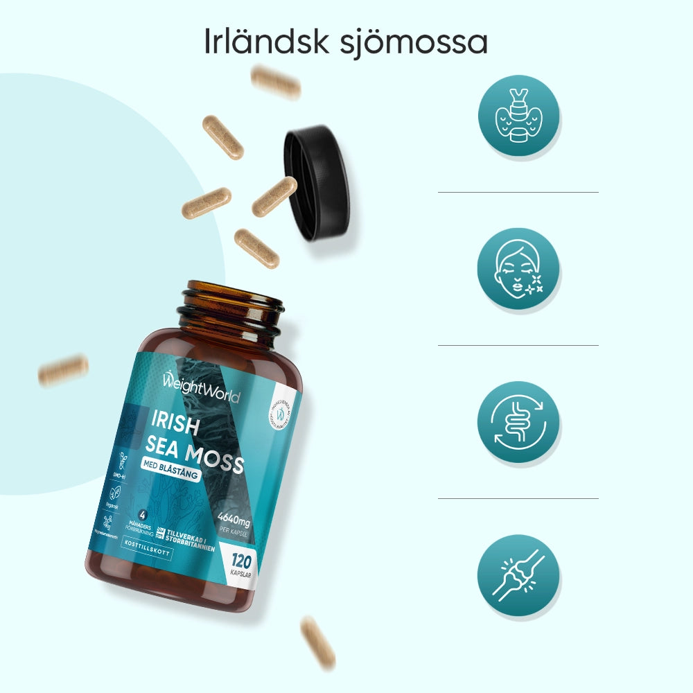 weightworld-se-irish-sea-moss-caps-02