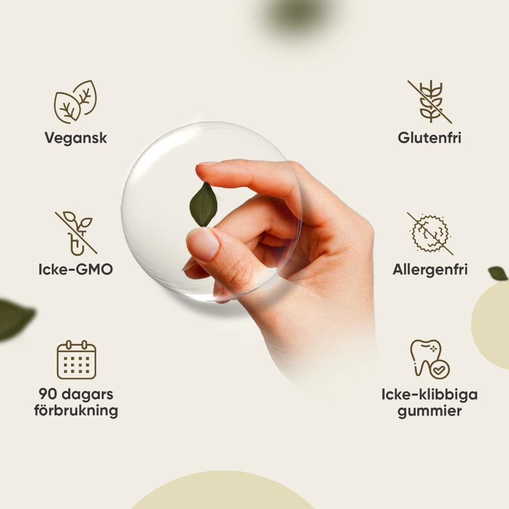 Lejonmånsvamp-gummi i handen, veganska märken synliga runt