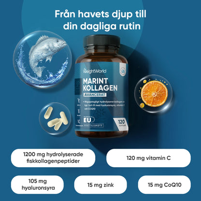 Marint Kollagen med Hyaluronsyra