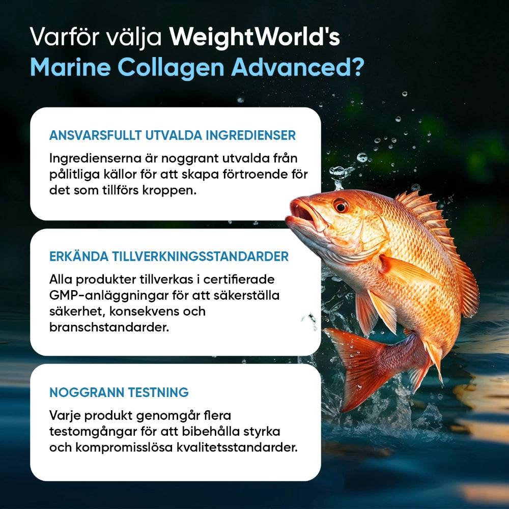 Marint Kollagen med Hyaluronsyra