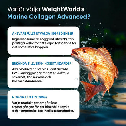 Marint Kollagen med Hyaluronsyra