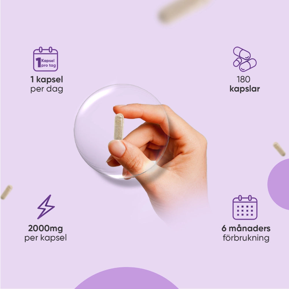 Mariatistelkapsel i hand, 2000 mg per kapsel, 180 kapslar