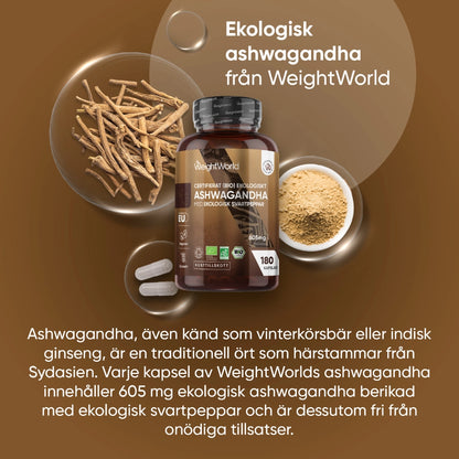 Ekologiska ashwagandhakapslar i WeightWorld-burk med pulver och kapslar runtom