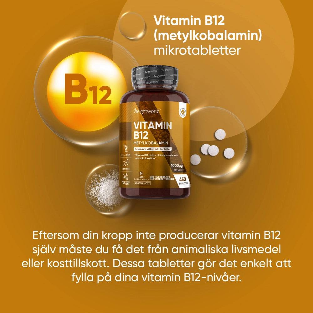 weightworld-se-vitamin-b12-1000mcg-450-tablets-bottle-2