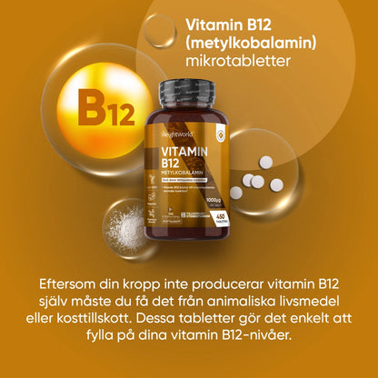 weightworld-se-vitamin-b12-1000mcg-450-tablets-bottle-2