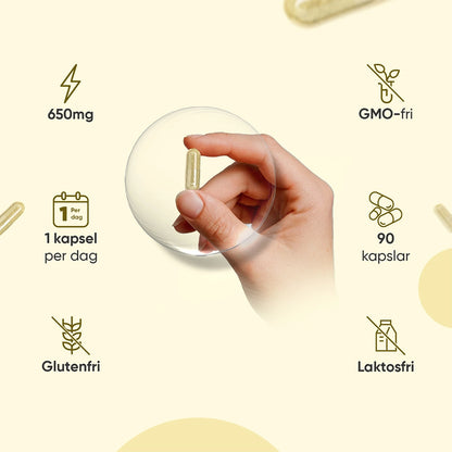 Ekologisk Ingefära 650 mg